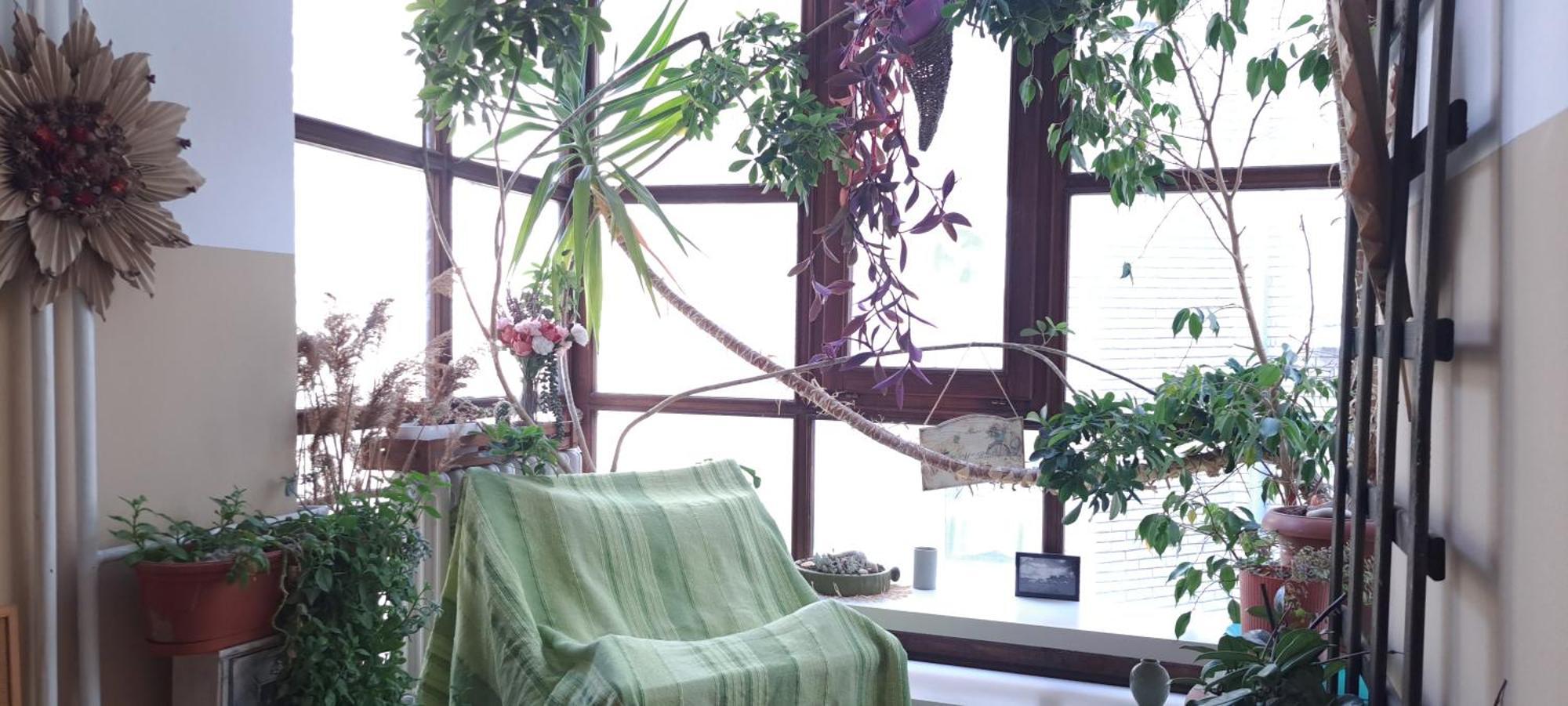 Green Land House ベオグラード エクステリア 写真
